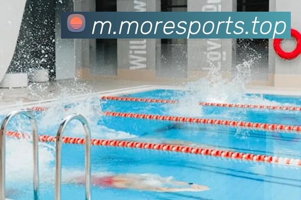 球赛投注服务体系